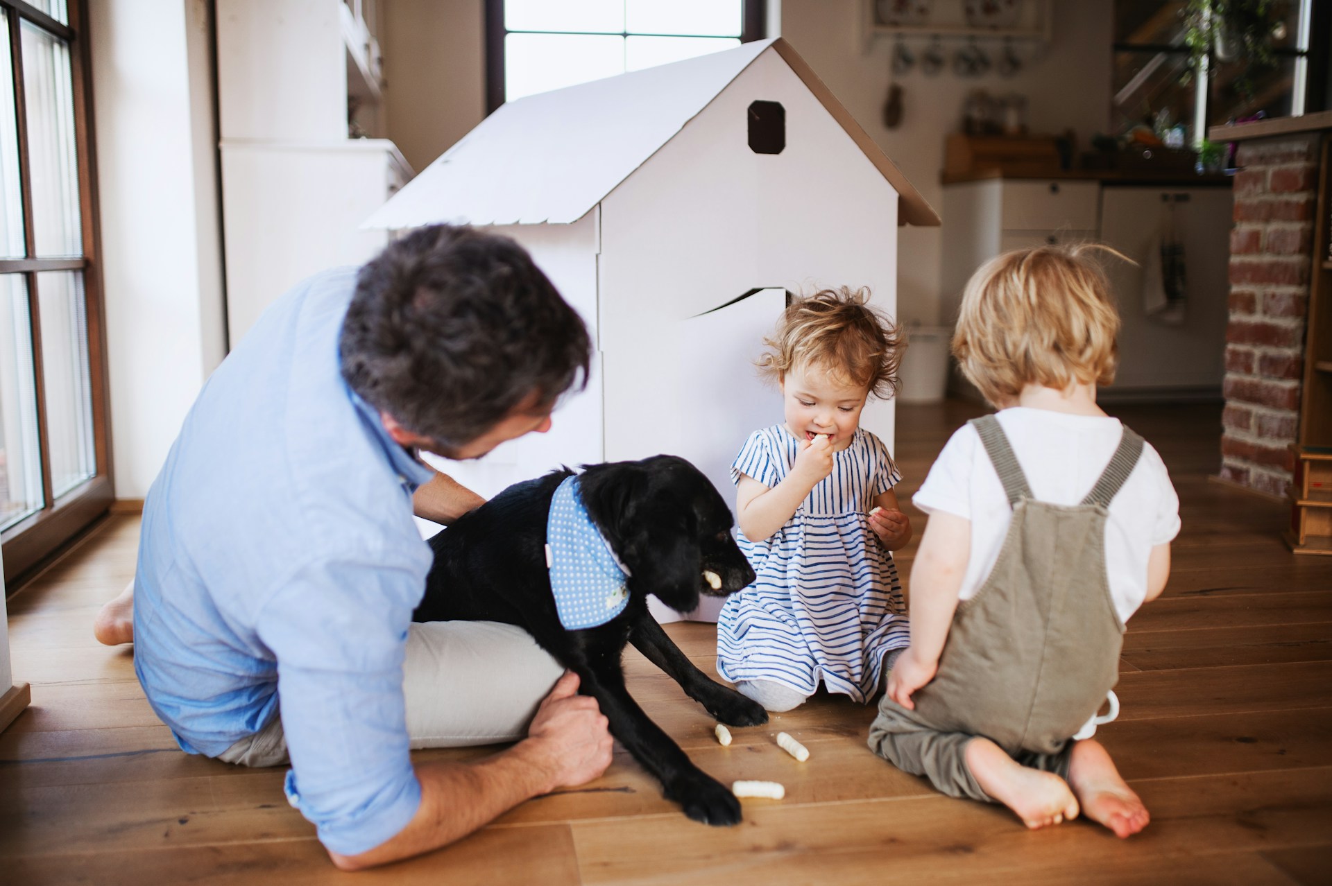 at home with kids and pet